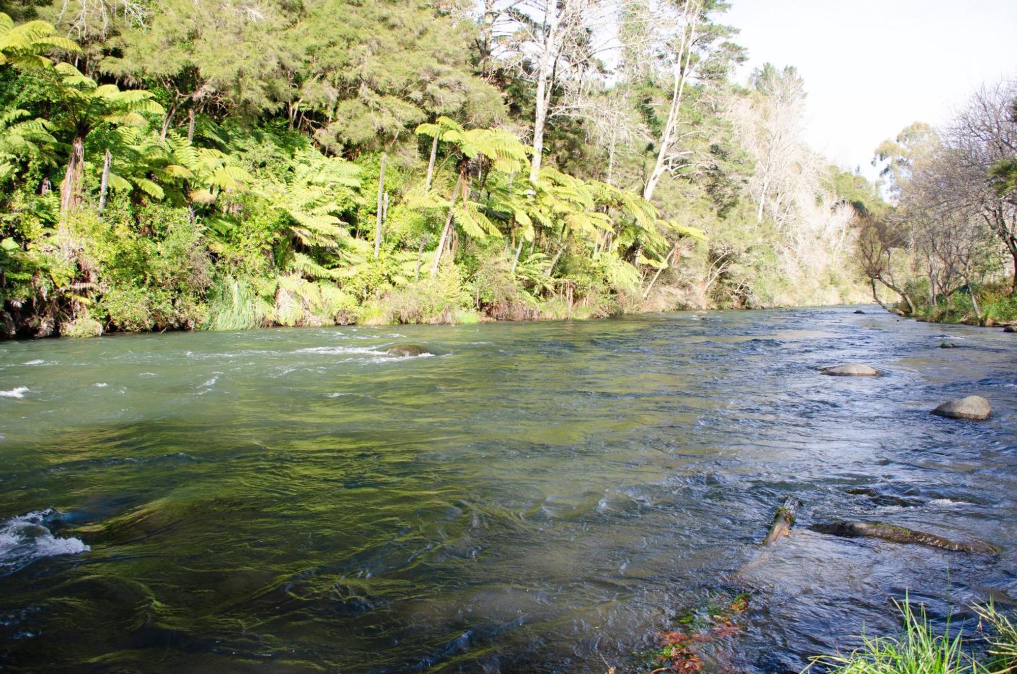 Tarawera River Lodge Motel Kawerau Εξωτερικό φωτογραφία